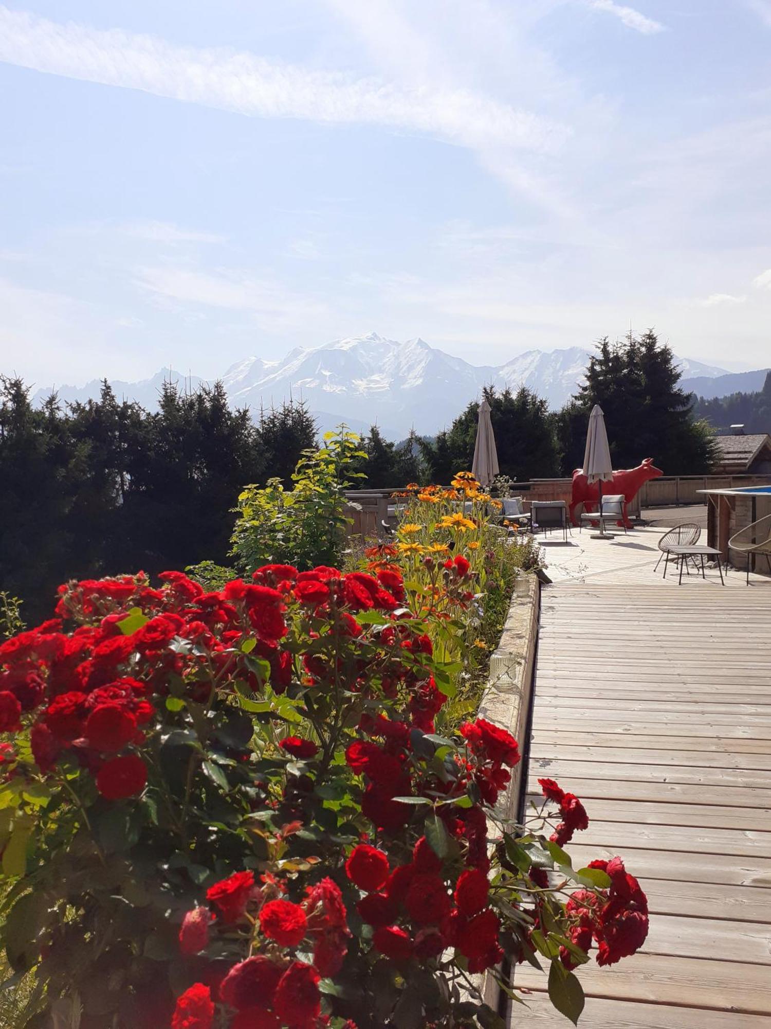 Chalet Les Rhodos Кордон Экстерьер фото